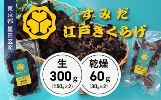 東京都墨田区産　生キクラゲ300g（150g×2パック）、乾燥キクラゲ60g（30g×2袋）　食品 野菜 きのこ キノコ きくらげ キクラゲ 木耳 純国産 新鮮 サラダ 和え物 炒め物 鍋[№5619-2139] 2112048 - 東京都墨田区