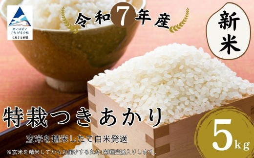 特栽つきあかり玄米5㎏ 精米したて発送