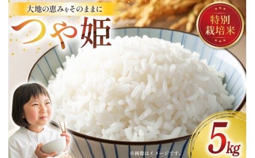 令和7年産 特別栽培米 つや姫 5kg [田制農園 山形県 高畠町 tk06ayt230007] 精米 白米 米 お米 ブランド米 ごはん ご飯
