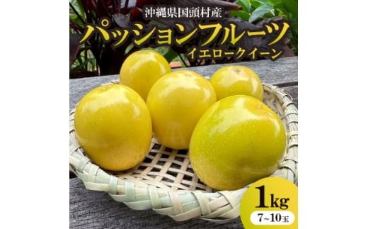 ＜2025年12月から順次発送＞国頭村産パッションフルーツ イエロークイーン 1kg(7～10玉)【1662107】 2318711 - 沖縄県国頭村