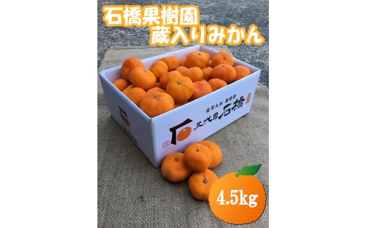 石橋果樹園 蔵入りみかん 4.5kg（35～45個）