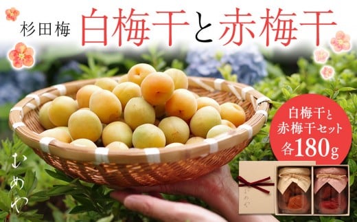 杉田梅の白梅干と赤梅干のセット　１個 677041 - 神奈川県横浜市