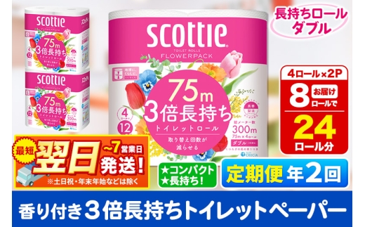 《6ヶ月ごとに2回お届け》定期便 トイレットペーパー スコッティ フラワーパック 3倍長持ち〈香り付〉4ロール(ダブル)×2パック 秋田市オリジナル 最短翌日発送 1350176 - 秋田県秋田市