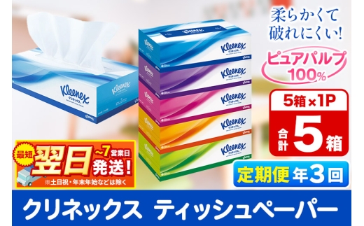 《4ヶ月ごとに3回お届け》定期便  ティッシュペーパー クリネックス ティシュー 5箱×1パック 秋田市オリジナル 最短翌日発送 2087929 - 秋田県秋田市