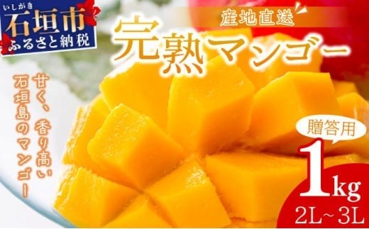 【2026年6月末から順次発送】2L～3L