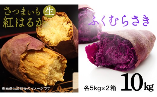 さつまいも [ 紅はるか ・ ふくむらさき ] 5kg ( 箱込 )の 2箱セット	さつまいも 詰合せ 国産 農園 野菜 サツマイモ 芋 期間限定 デザート スイーツ おやつ 料理 味噌汁 煮物 生芋