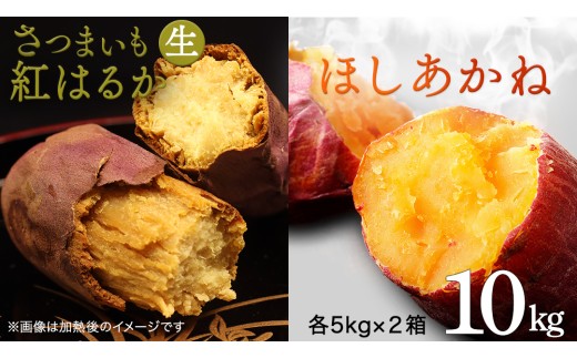 さつまいも [ 紅はるか ・ ほしあかね ] 5kg ( 箱込 )の 2箱セット サツマイモ さつま芋 芋 いも 野菜 焼き芋 スイーツ おやつ 国産