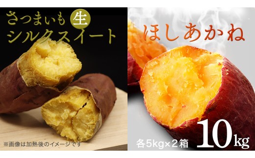 さつまいも [ シルクスイート ・ ほしあかね ] 5kg ( 箱込 )の 2箱セット さつまいも 詰合せ 国産 農園 野菜 サツマイモ 芋 期間限定 デザート スイーツ おやつ 料理 味噌汁 煮物 生芋