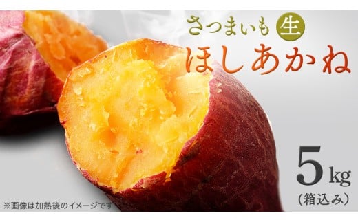さつまいも [ ほしあかね ] 5kg( 箱込 ) サツマイモ さつま芋 芋 いも 野菜 焼き芋 スイーツ おやつ 国産