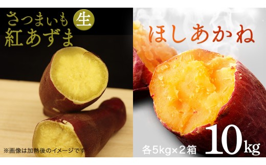 さつまいも [ 紅あずま ・ ほしあかね ] 5kg ( 箱込 )の 2箱セット サツマイモ さつま芋 芋 いも 野菜 焼き芋 スイーツ おやつ 国産