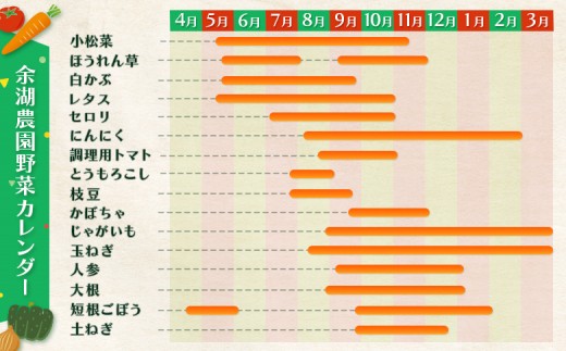 北海道産季節の野菜詰め合わせ 6種類8品