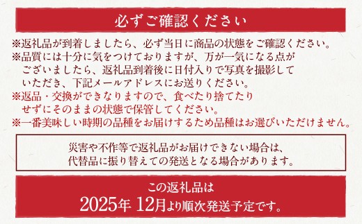 【5回定期便】よかもんいちご 4品種食べ比べセット