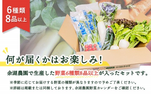 北海道産季節の野菜詰め合わせ 6種類8品