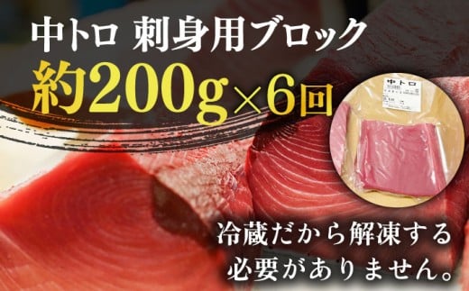 【全6回定期便】 五島列島産 養殖 生本かみマグロ 中トロ 200g / まぐろ 鮪 刺身 ブロック