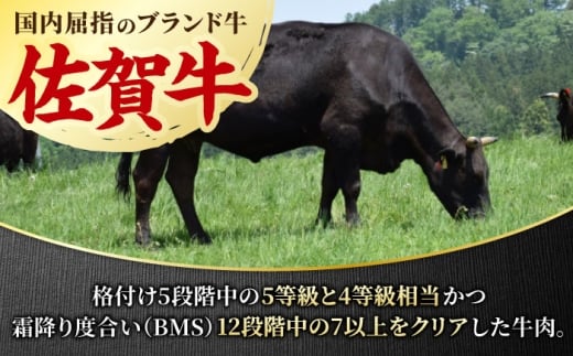 サーロインステーキ 2人前 200g×2 400g 