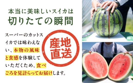 すいか スイカ 西瓜 くだもの フルーツ 果物 祭りばやし 祭り 夏 水分補給 熱中症対策 梅雨前出荷 贈答 ギフト