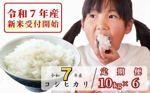 《令和7年産新米受付開始》【6回定期便】白米 10kg 令和7年産 コシヒカリ 岡山 あわくら源流米 K-ag-CEFA 1973731 - 岡山県西粟倉村