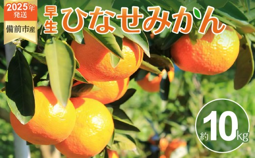 ひなせみかん 早生約10kg（2025年11月～12月頃発送）【果物 フルーツ みかん ミカン ひなせ わせ】 2319014 - 岡山県備前市