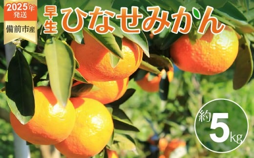 ひなせみかん 早生約5kg（2025年11月～12月頃発送）【果物 フルーツ みかん ミカン ひなせ わせ】 2319015 - 岡山県備前市