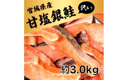 訳あり 銀鮭切身(甘塩)約3kg / 宮城県 女川町【1641035】 2318150 - 宮城県女川町