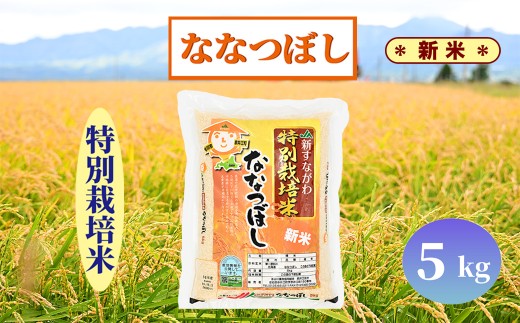 北海道奈井江町　特別栽培米　ななつぼし　5kg 2101417 - 北海道奈井江町