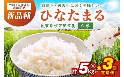 【3ヶ月定期便】伊万里産米ひなたまる精米5ｋｇｘ3 999-B889 2318912 - 佐賀県伊万里市