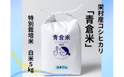 《令和７年産》長野県栄村産コシヒカリ「青倉米」特別栽培米白米５kg 2319051 - 長野県栄村