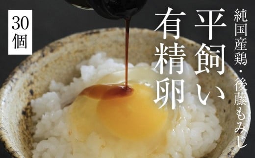 平飼い有精卵 30個　《西粟倉村》【株式会社点々】t-SS-AnDA