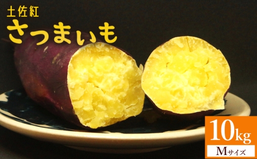 【2026年発送分】【10kg】さつまいも(土佐紅) Mサイズ - サツマイモ さつま芋 野菜 焼き芋 やきいも 焼いも 蒸し芋 おやつ スイーツ スイートポテト 国産 アスタ農園 さつまいも10kg at-0051 1905392 - 高知県香南市