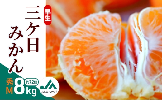 早生三ケ日みかん 秀M 8kg （約72個)　みかん ミカン フルーツ 果物 くだもの 機能性表示食品 浜松市 [№5360-0858]