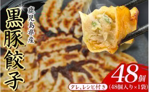 黒豚　冷凍餃子　48個 2304019 - 大阪府豊中市