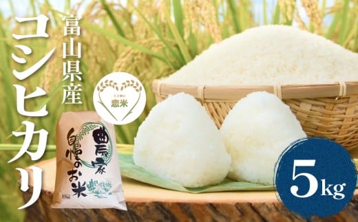 富山県産コシヒカリ 5kg　恋米（ここまい） 天風穂（あまほ） はざかけ米 はざ掛け 富山県 氷見市