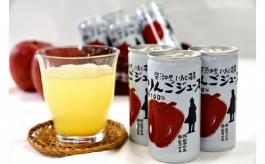花巻産りんごジュース<30本セット> 【074】 215483 - 岩手県花巻市