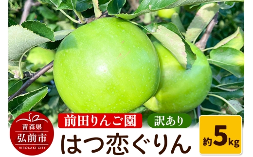 【25年10月～発送】りんご 【訳あり】 はつ恋ぐりん 約 5kg  前田りんご園