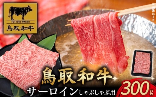 鳥取和牛サーロインしゃぶしゃぶ用 300g サーロイン しゃぶしゃぶ 国産 牛肉 ブランド牛 和牛 黒毛和牛 肉 鳥取県 倉吉市