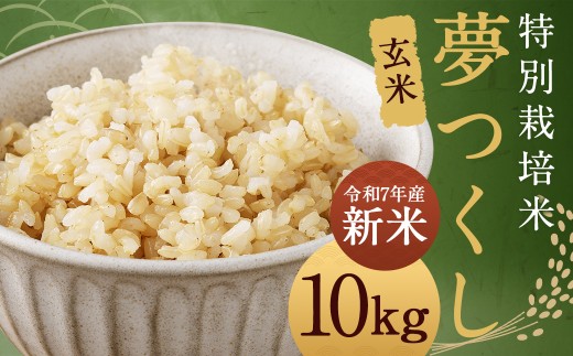 [玄米] 夢つくし (特別栽培米) 約10kg 福岡県産 令和7年産 新米 玄米 米 こめ コメ