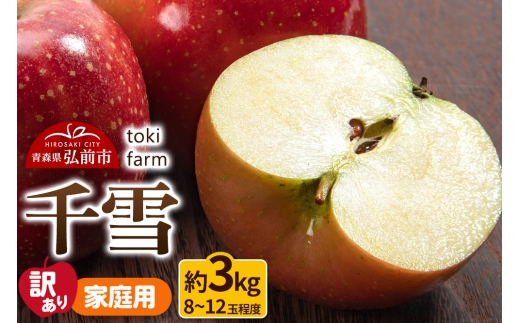 【25年10月～発送】りんご【訳あり】千雪 約3kg（8～12玉程度）家庭用 toki farm 林檎 アップル 果実 果物 美味