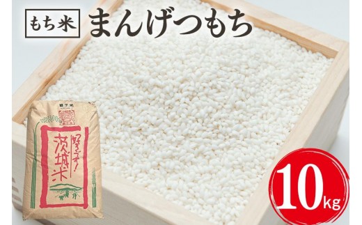 まんげつもち 精米 10kg 岡田ファーム もち米 マンゲツモチ お米 もち 米 モチ 10キロ 国産 餅 こめ コメ 茨城県産 茨城 産直 産地直送 農家直送 おこわ 団子 餅米 白もち米 精米もち米 餅つき 年末年始 満月もち 家庭用 贈答用 茨城県 石岡市 (B02-060) 2317419 - 茨城県石岡市