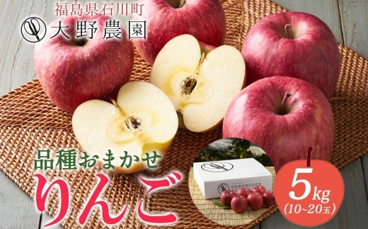 りんご5kg 品種お任せ 10～20玉 ｜ リンゴ 旬 ランダム 林檎 果物 フルーツ 甘い アップル 産直 大野農園 福島県 石川町【19011】 2217602 - 福島県石川町