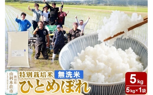 【無洗米】秋田県由利本荘市産 特別栽培米 ひとめぼれ 5kg（5kg×1袋）令和6年産 2220750 - 秋田県由利本荘市