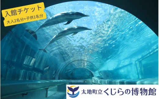 太地町立くじら博物館　入館チケット大人2名+子供1名/チケット 入館券 博物館 くじら 鯨【kzr003】 2323858 - 和歌山県太地町