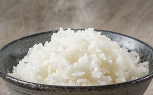 【令和7年産】ゆめぴりか 10kg 小田切清志農園（2025年10月下旬より発送） 【 ふるさと納税 人気 おすすめ ランキング 米 こめ コメ ゆめぴりか 北海道産 ご飯 白米 おにぎり 北海道 七飯町 送料無料 】 NABJ002