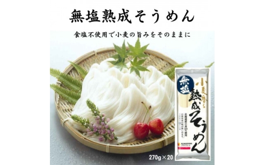 無塩熟成そうめん 270g×20【1622839】