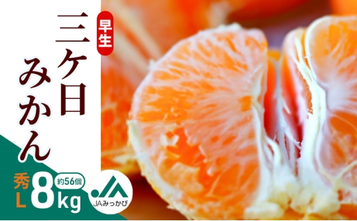 早生三ケ日みかん 秀L 8kg （約56個） みかん ミカン フルーツ 果物 くだもの 機能性表示食品 浜松市 [№5360-0860]