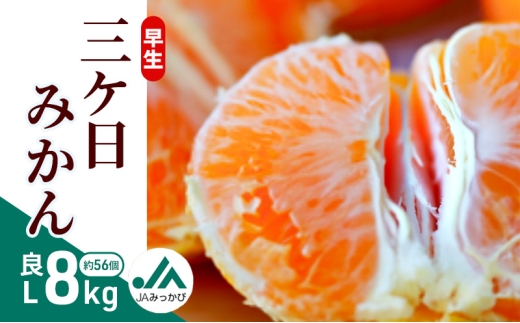 早生三ケ日みかん 良L 8kg （約56個） みかん ミカン フルーツ 果物 くだもの 機能性表示食品 浜松市 [№5360-0854]