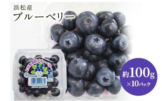 【浜松市産】ブルーベリー 約100g×10パック 計約1kg 甘酸っぱい アントシアニン 食物繊維 ビタミン ミネラル 抗酸化作用 腸内環境改善 美容 美肌 健康 静岡県 浜松市 [№5360-0861]