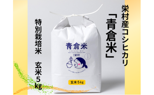 《令和７年産》長野県栄村産コシヒカリ「青倉米」特別栽培米玄米５kg 2319050 - 長野県栄村