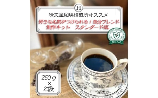好きな名前がつけられる!自分ブレンド制作キット　スタンダード版　250g×2袋【1672088】