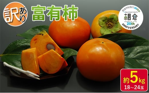 [朝倉市制施行20周年記念企画] 訳あり 柿 富有柿 約5kg 18〜24玉 配送不可 離島 果物 フルーツ 秋の味覚 旬 デザート 果実 柿の王様 甘柿 代表品種 朝倉の柿 おやつ