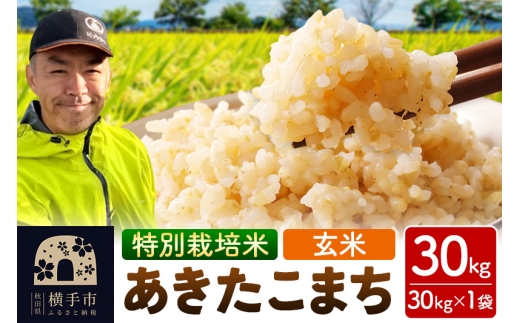 秋田県 横手市 【玄米】令和7年産 特別栽培米 あきたこまち 30kg（30kg×1袋） 2319052 - 秋田県横手市